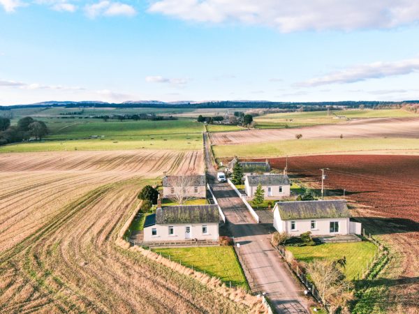 Bachilton Farm - Cairnies