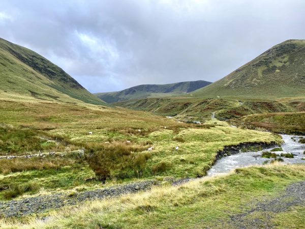 Bannerdale