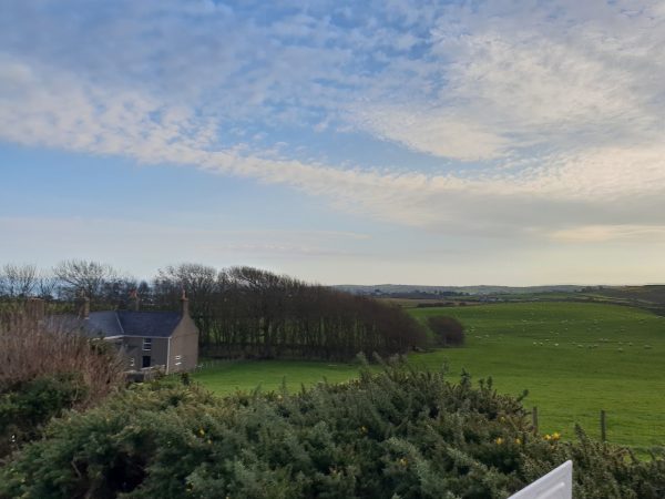 Bodwi Farm Cottages - Bodwi Bach