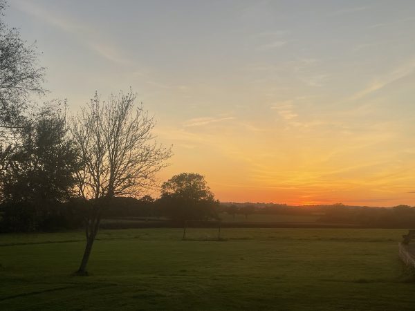 Bowling Green Farm - Marlott