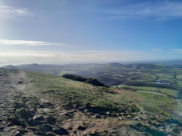 Bracken Lookout