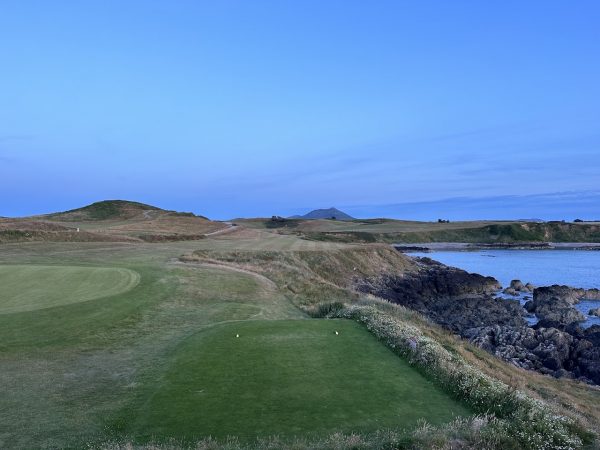 BrNefyn