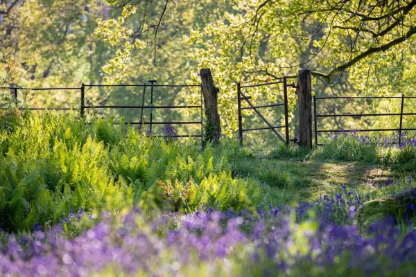 Burrow Farm Garden Retreat - Gardener’s Rest