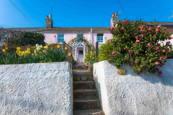 Camellia Cottage