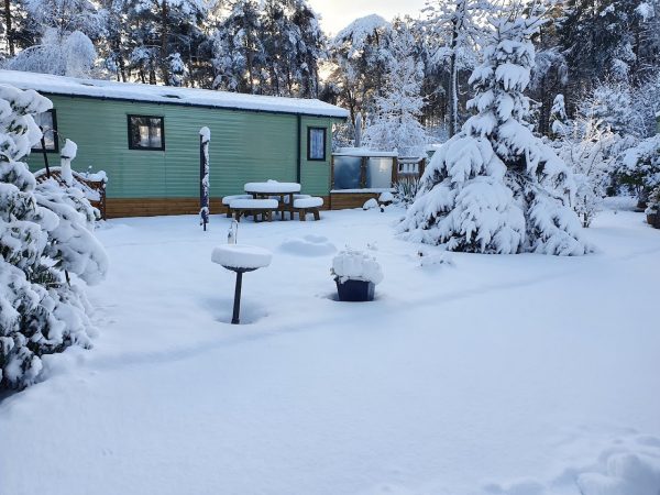 Cardale Escapes - Shepherds Hut