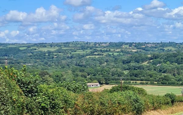 Cefn Gelli
