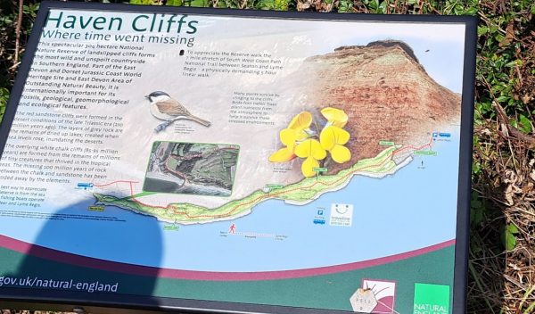 Cliffhaven