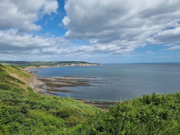 Coastal Views
