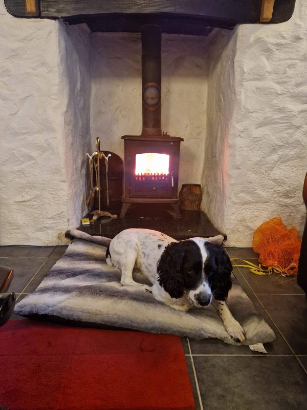 Cosy Cottage