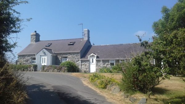 Cyll y Felin Fawr - Cyll y Felin Fawr 2