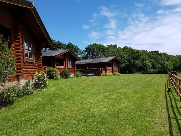 Dartmoor Lodges - Woodside Lodge
