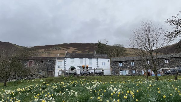 Doddick Farm Cottages - Grajo Cottage