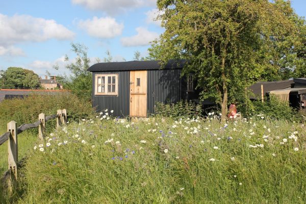 Elsie’s Hut