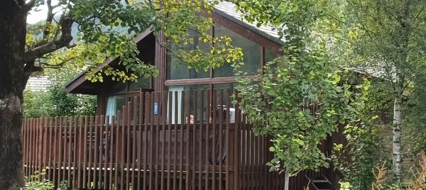 Forest Cottage