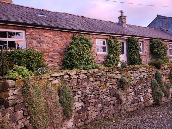 Gibbs Hill Farm - Felbridge Cottage
