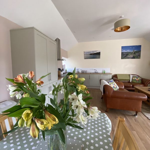 Glanpwlldu Holidays - The Hayloft