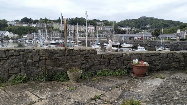 Glaslyn Harbour Views