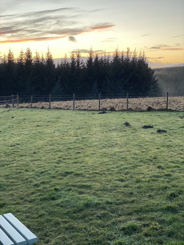 Glenlivet View