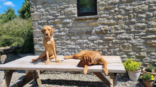 Grange Farm Cottages - The Wests