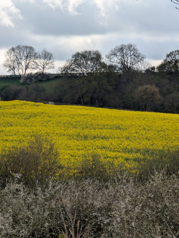 Grove Sprightly Barn