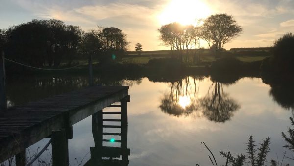 Heath Farm Cottages - Cowslip