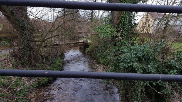 Hewish Mill Retreats - Pitch Back