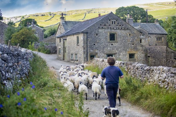 Hill Top Farm Barn