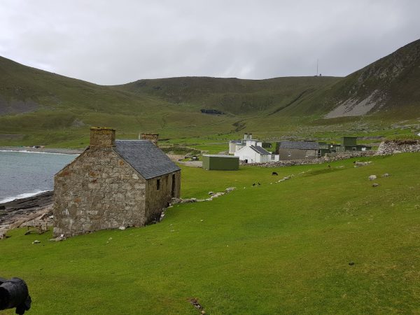 Hirta