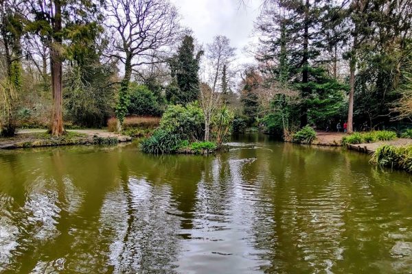 Hollyhill House