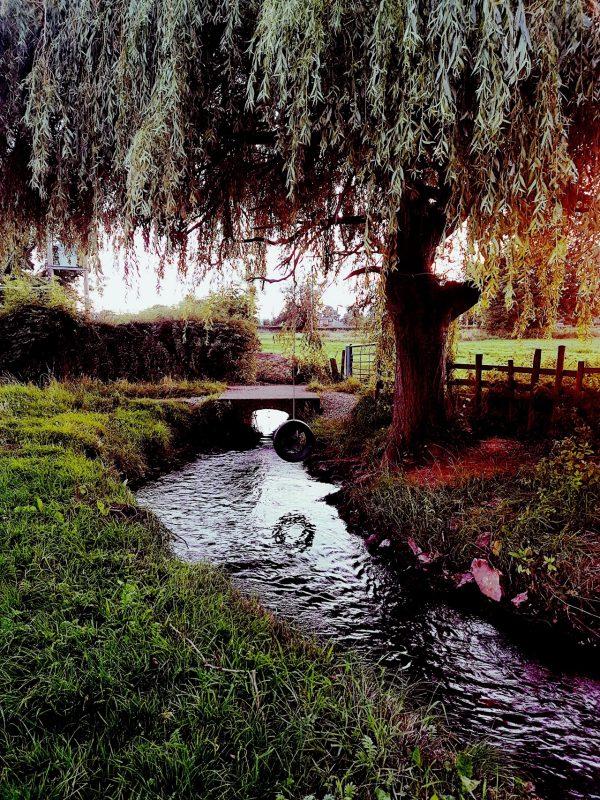 Home Farm Holiday Cottages - The Arches