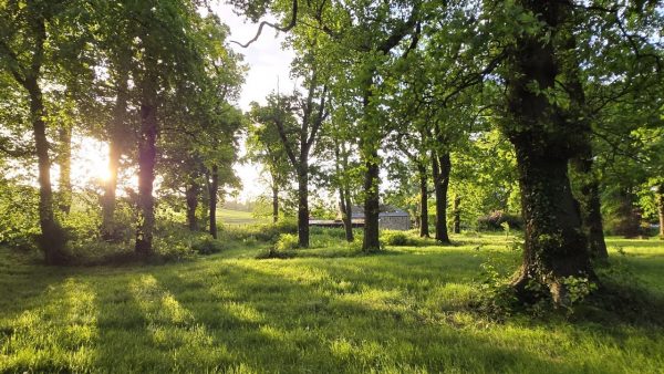 Inzievar - Lime Tree Cottage