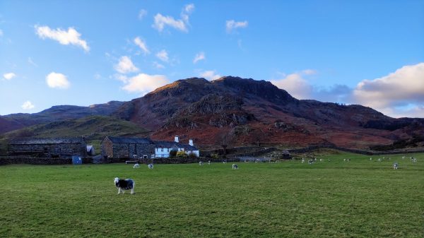 Jenlea Cottage