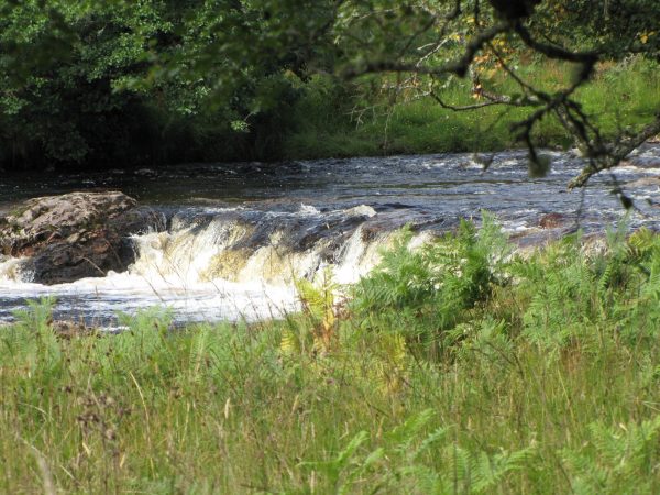 Kildonan