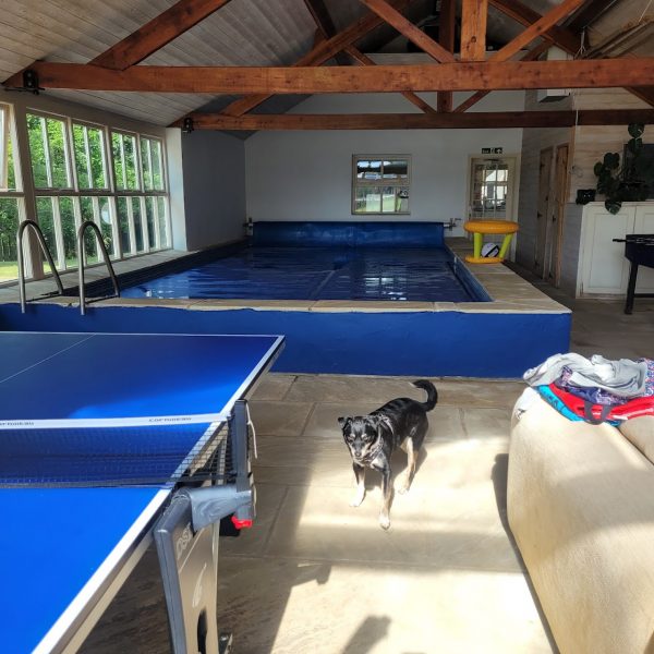 Lily Pad Cottages - Lily Pad 2