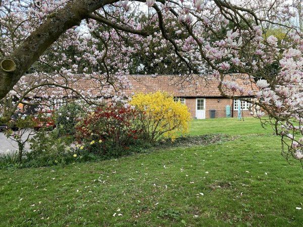 Little Court Cottages - Little Cottage