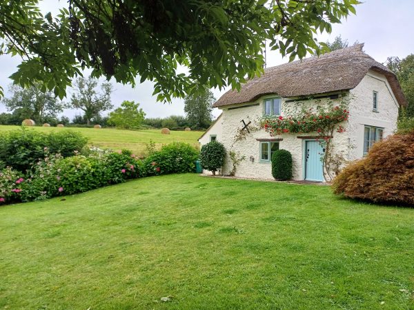 Little Thatch