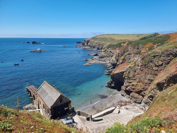 Lizard Point - Scilla