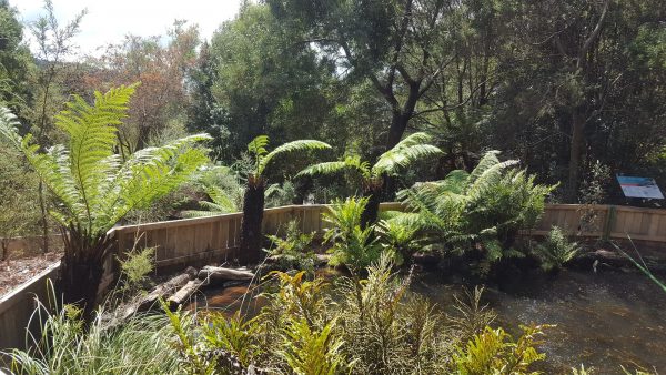 Lobster Ponds