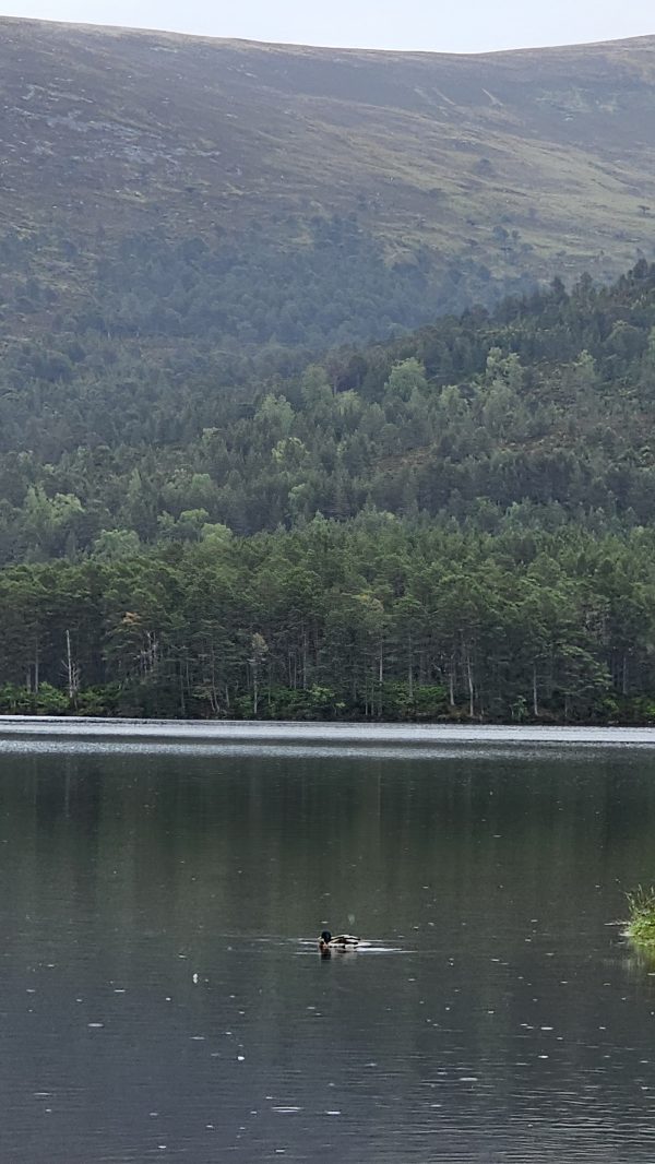 Loch Insh Lodges - Cardhu Lodge