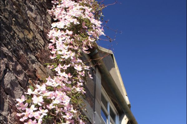 Lochside Garden House