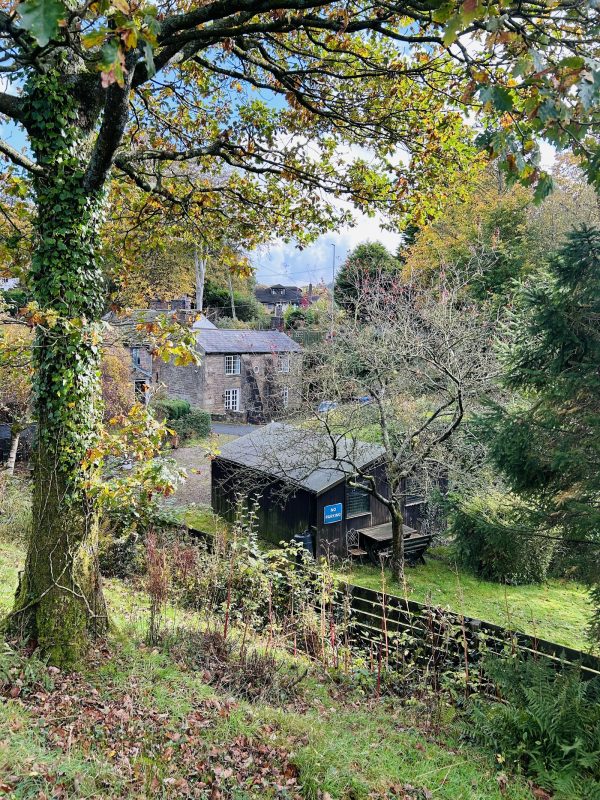 Lower Tower Hill Farm