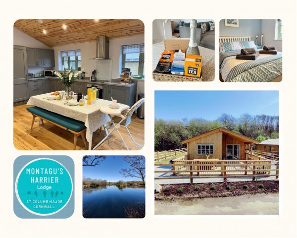Meadowside Lodges- Peregrine Lodge