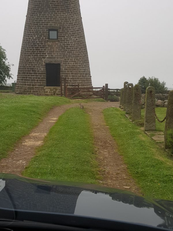 Mill View Cottage