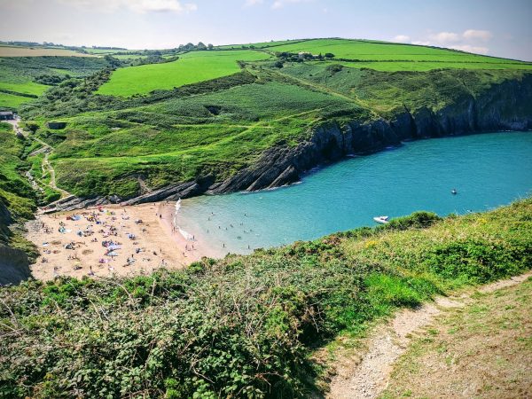 Mwnt
