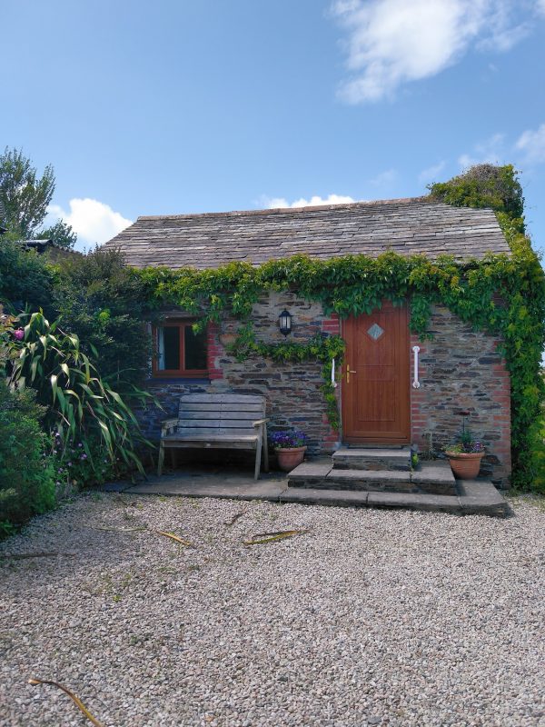 Nellys House