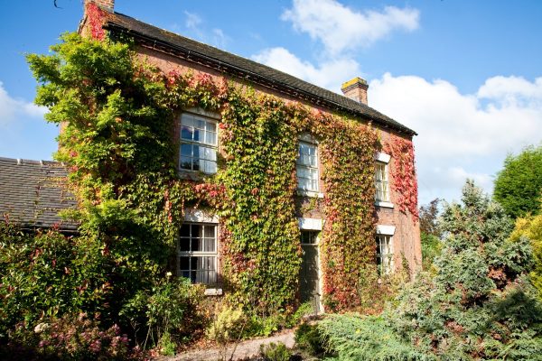 Nether Burrows Farm - The Farmhouse