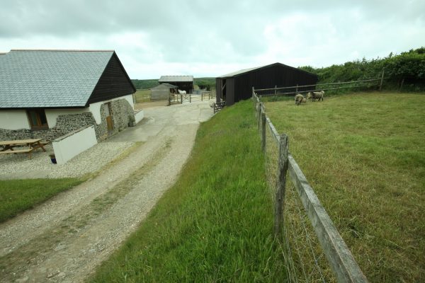 Netherton Farm