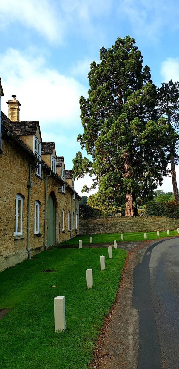 Newmarket