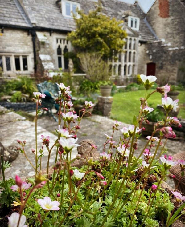 Newton Manor House