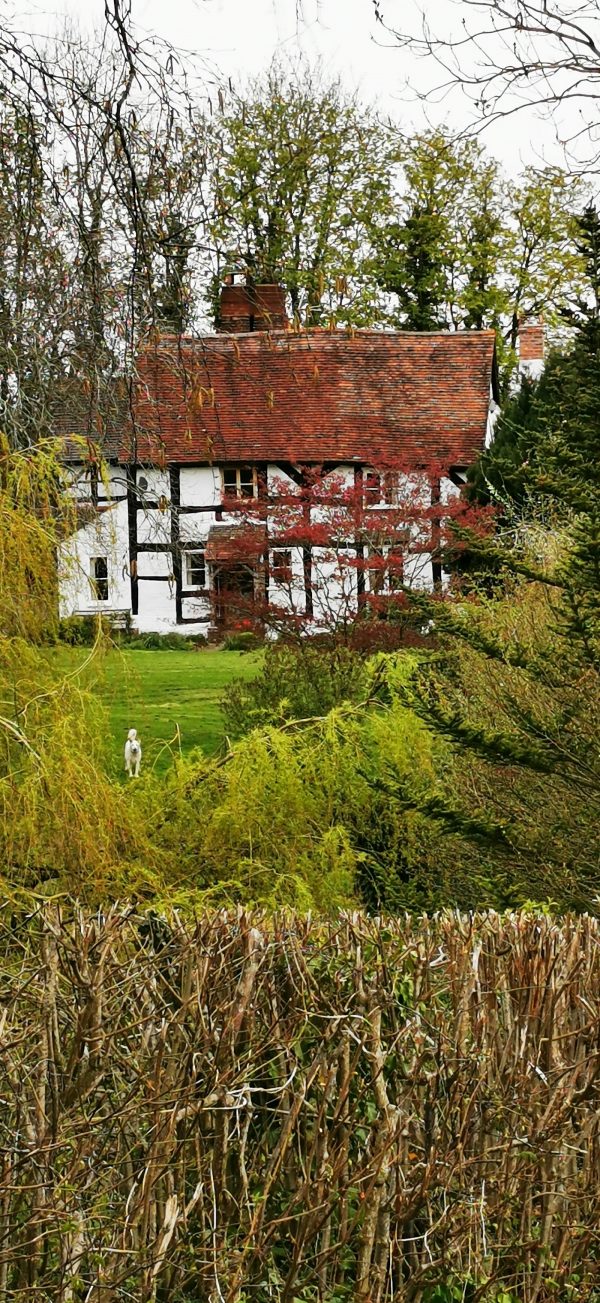 Old Castle Farm - Castle Clover